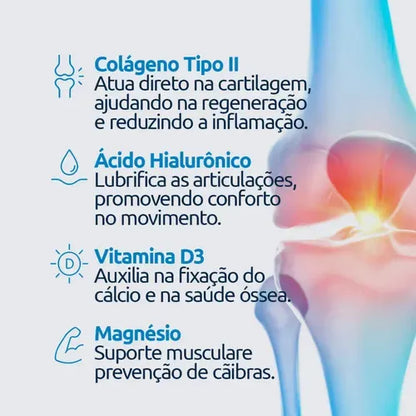 Kit 6 Cxs Condroprev Návillus Saúde Articular 30cap Neutro
